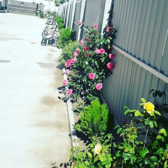 Sariya Hotel Kheivani Kültér fotó